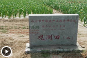 大蒜觀測(cè)田苗情長(zhǎng)勢(shì)監(jiān)測(cè)—3月17日 (1710播放)