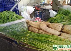 昆明：蒜薹價格每公斤下降20元 ()