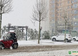 河南3月飄雪 蒜苗還好嗎？ ()