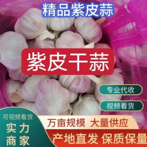 大蒜批發(fā) 出口各國