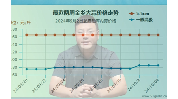 蒜價(jià)猛然上漲、能否再接再厲 (632播放)