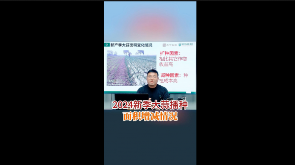 2024新季大蒜播種面積增減情況 (717播放)