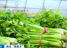 11月份全國蔬菜價格區(qū)間下行 ()