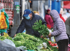 濟(jì)南：降雪期間菜價(jià)保持平穩(wěn)