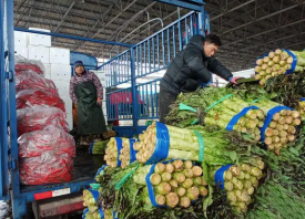 長沙：市民“菜籃子”量足價穩(wěn)