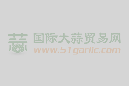 誠(chéng)信代理金鄉(xiāng)大蒜、儲(chǔ)存、加工、出口、代收 、蒜片等業(yè)務(wù)